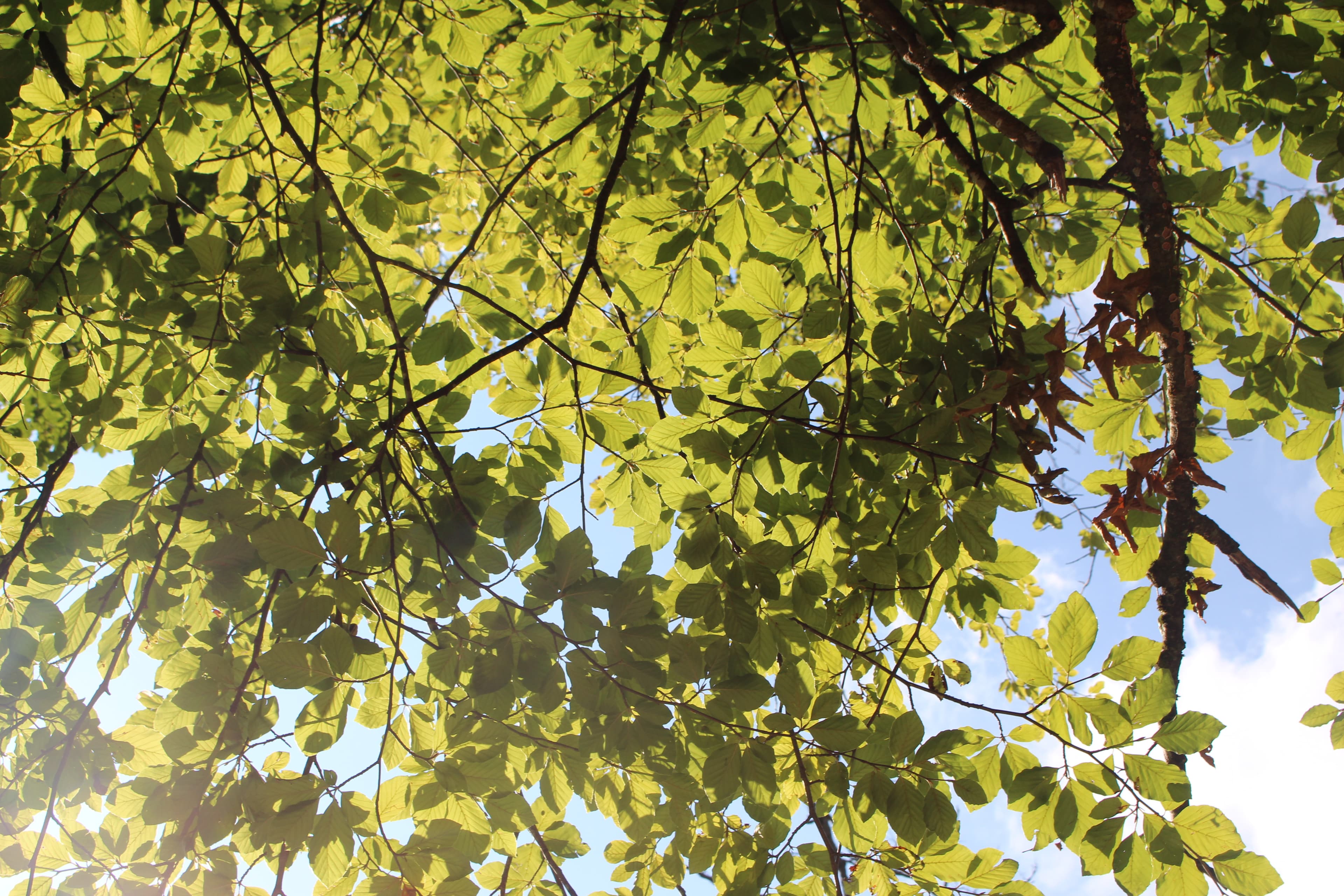 In years of becoming